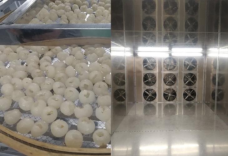 安徽燕之坊電子商務(wù)有限公司龍眼烘干設(shè)備選型