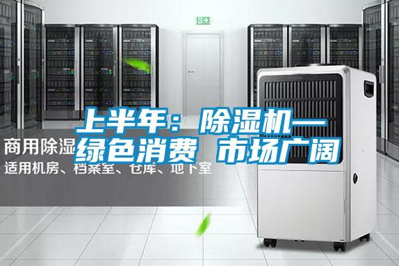 上半年：除濕機—綠色消費 市場廣闊