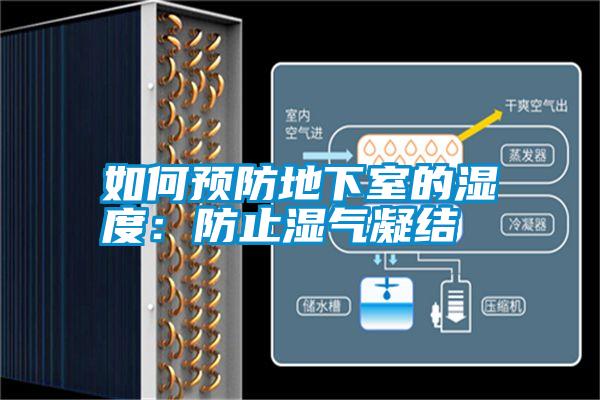 如何預防地下室的濕度：防止濕氣凝結