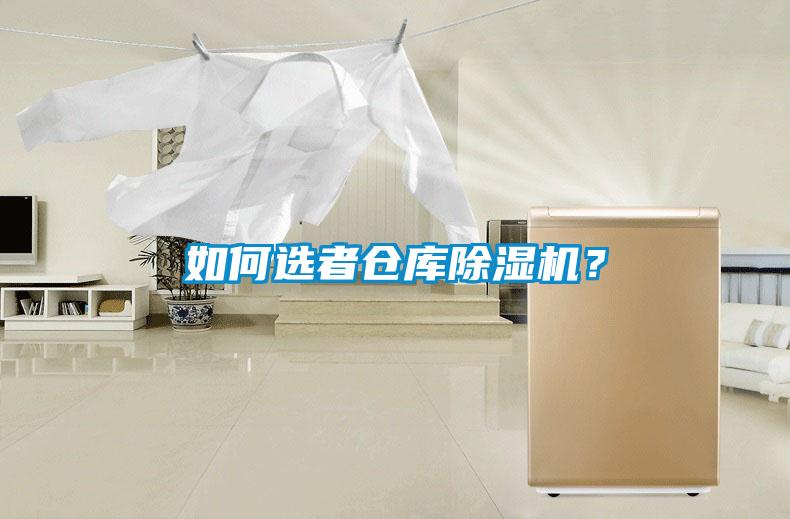 如何選者倉庫除濕機？
