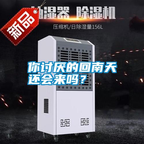 你討厭的回南天還會來嗎?