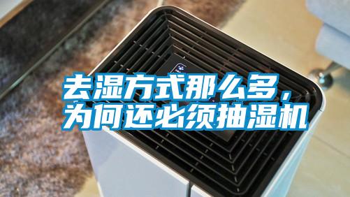 去濕方式那么多，為何還必須抽濕機(jī)