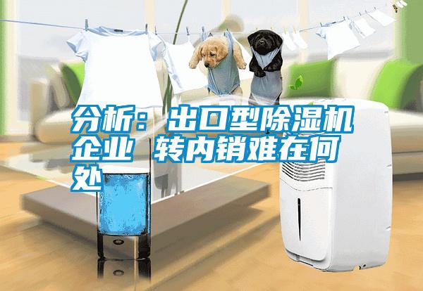 分析:出口型除濕機企業(yè) 轉內銷難在何處