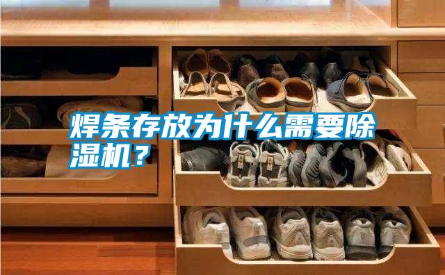 焊條存放為什么需要除濕機？