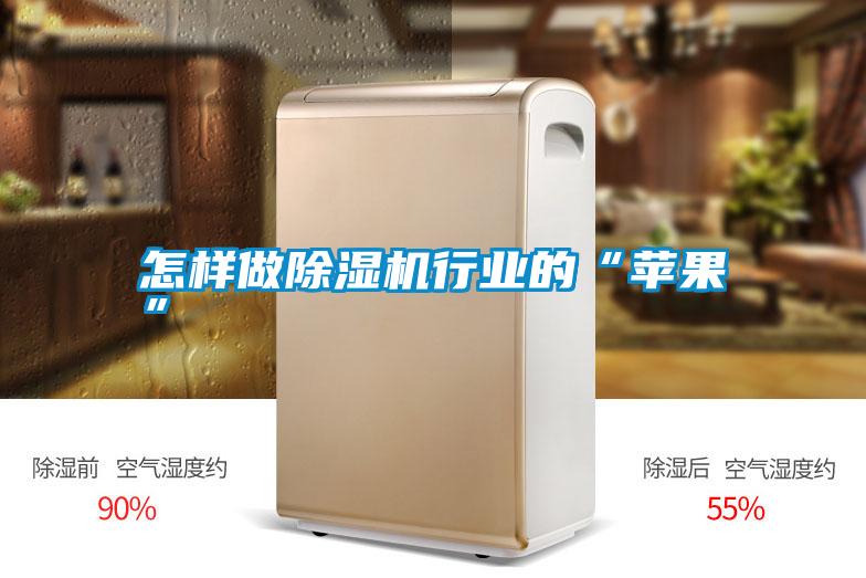 怎樣做除濕機(jī)行業(yè)的“蘋(píng)果”