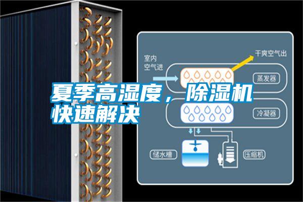 夏季高濕度，除濕機(jī)快速解決