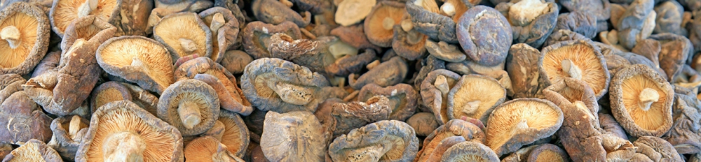 蘑菇干燥和包裝過程中的水分控制_重復