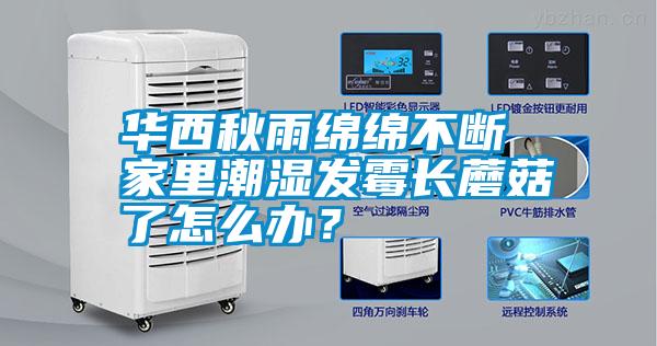 華西秋雨綿綿不斷 家里潮濕發霉長蘑菇了怎么辦?