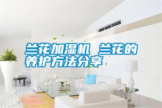 蘭花加濕機 蘭花的養(yǎng)護方法分享