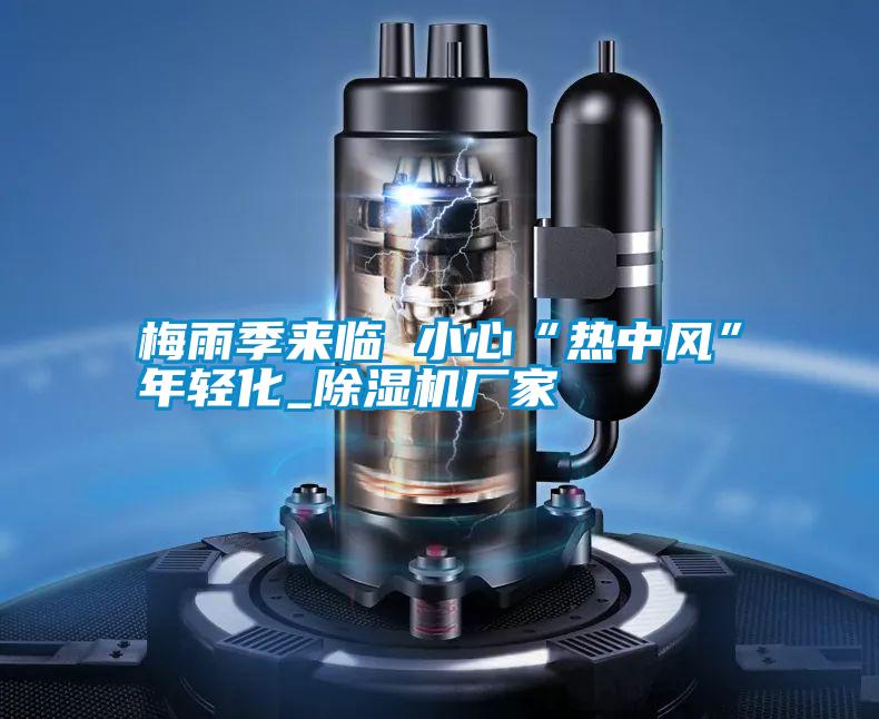 梅雨季來臨 小心“熱中風(fēng)”年輕化_除濕機廠家