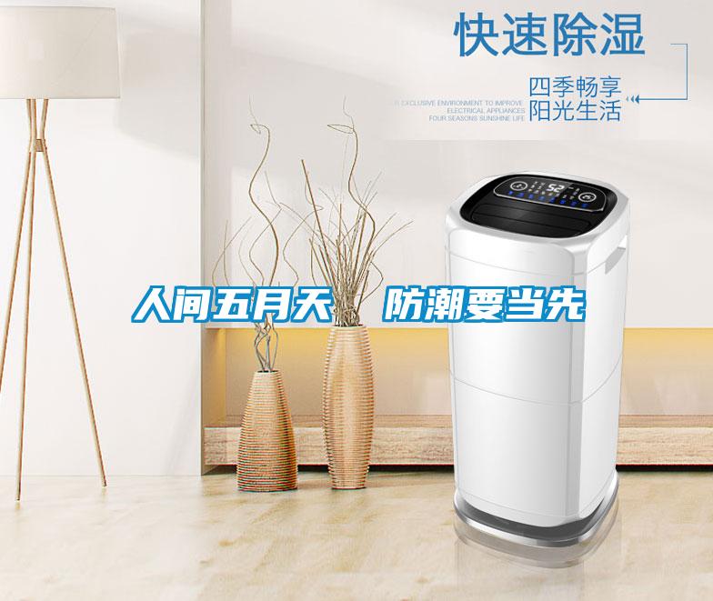 人間五月天  防潮要當(dāng)先