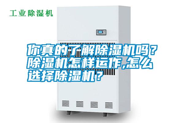 你真的了解除濕機嗎？除濕機怎樣運作,怎么選擇除濕機？