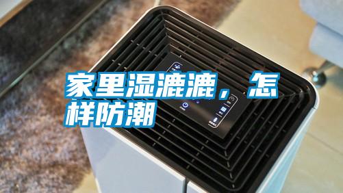 家里濕漉漉，怎樣防潮