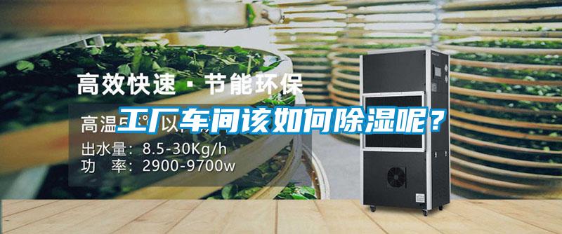 工廠車間該如何除濕呢？