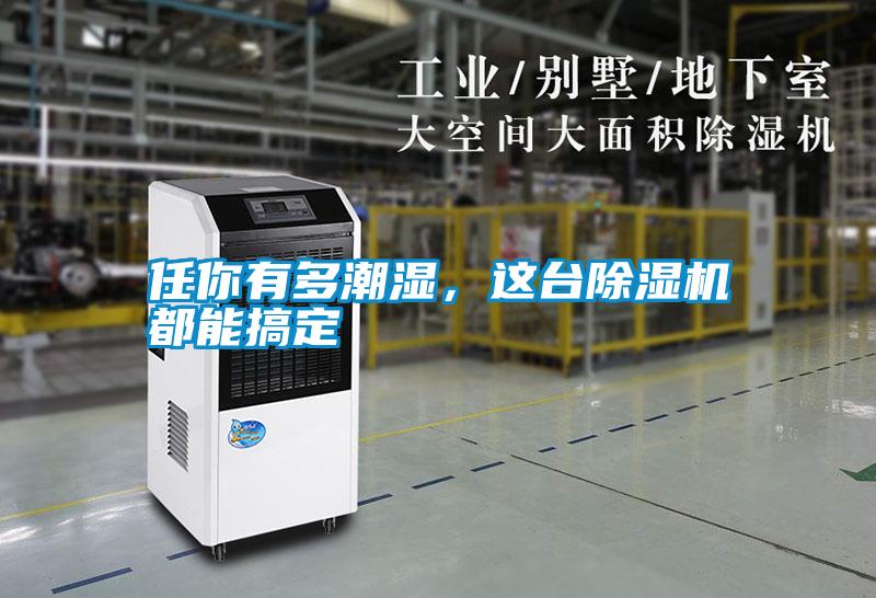 任你有多潮濕，這臺除濕機(jī)都能搞定