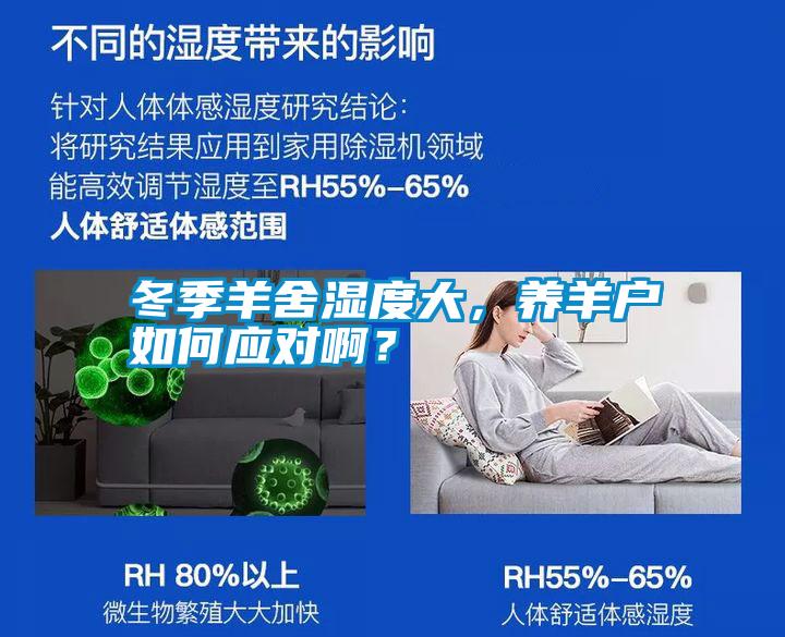 冬季羊舍濕度大，養羊戶如何應對?。?></div>
								<div   id=