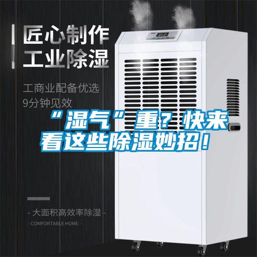 “濕氣”重？快來看這些除濕妙招！