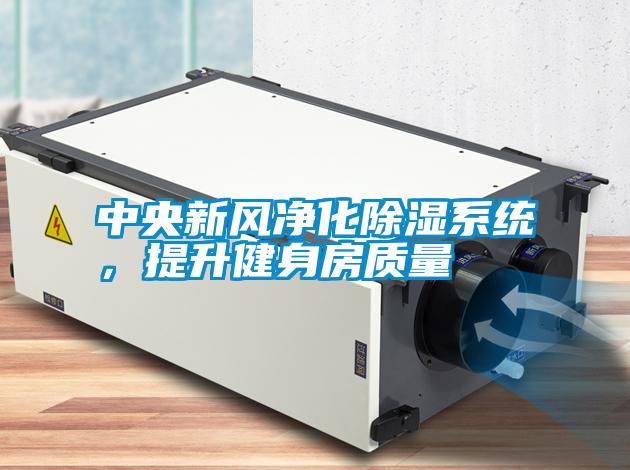 中央新風凈化除濕系統，提升健身房質量