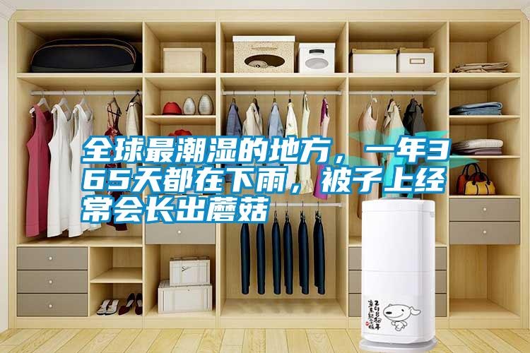 全球最潮濕的地方，一年365天都在下雨，被子上經常會長出蘑菇