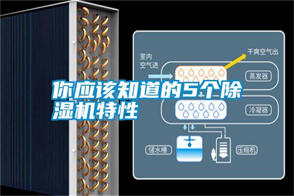你應(yīng)該知道的5個除濕機特性