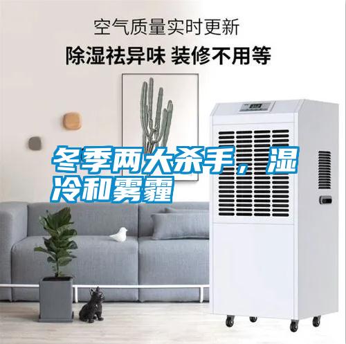 冬季兩大殺手，濕冷和霧霾