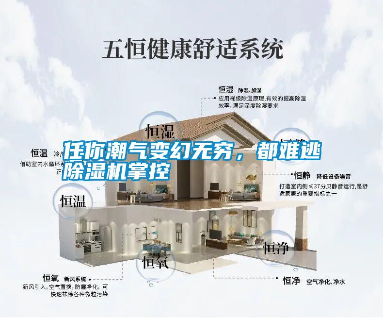 任你潮氣變幻無窮，都難逃除濕機(jī)掌控