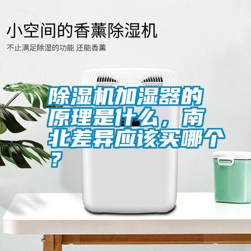 除濕機(jī)加濕器的原理是什么，南北差異應(yīng)該買哪個(gè)？