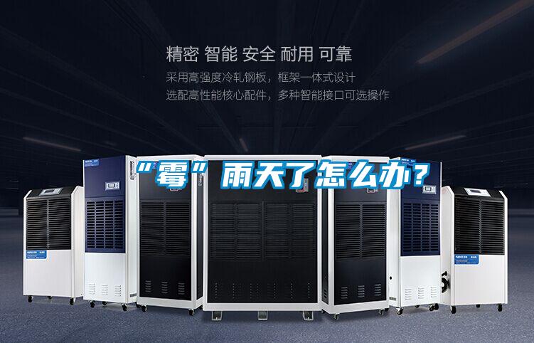 “霉”雨天了怎么辦？