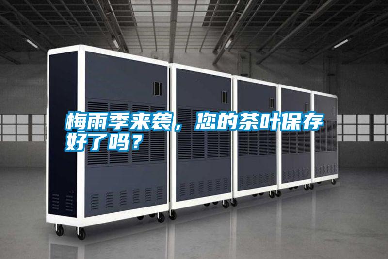 梅雨季來襲，您的茶葉保存好了嗎？