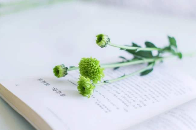 梅雨天不要讓身體和心情發霉_重復