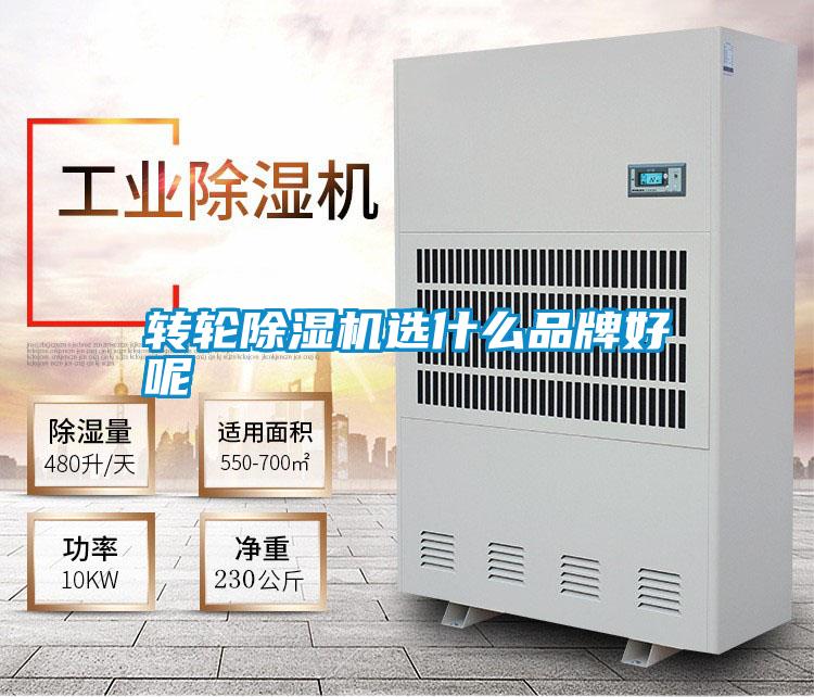 轉輪除濕機選什么品牌好呢