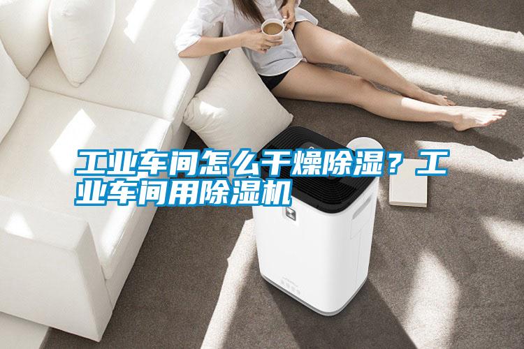 工業車間怎么干燥除濕？工業車間用除濕機