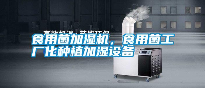 食用菌加濕機，食用菌工廠化種植加濕設備
