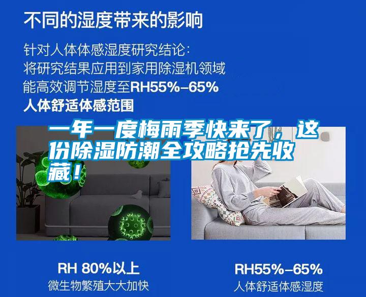 一年一度梅雨季快來了，這份除濕防潮全攻略搶先收藏！