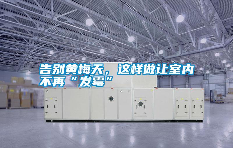 告別黃梅天，這樣做讓室內不再“發霉”