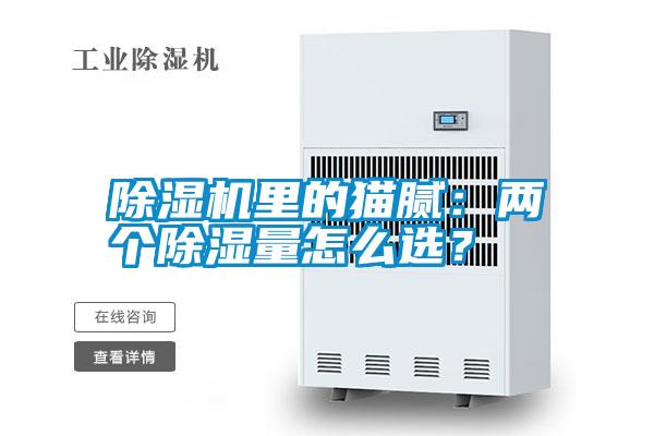 除濕機里的貓膩：兩個除濕量怎么選？