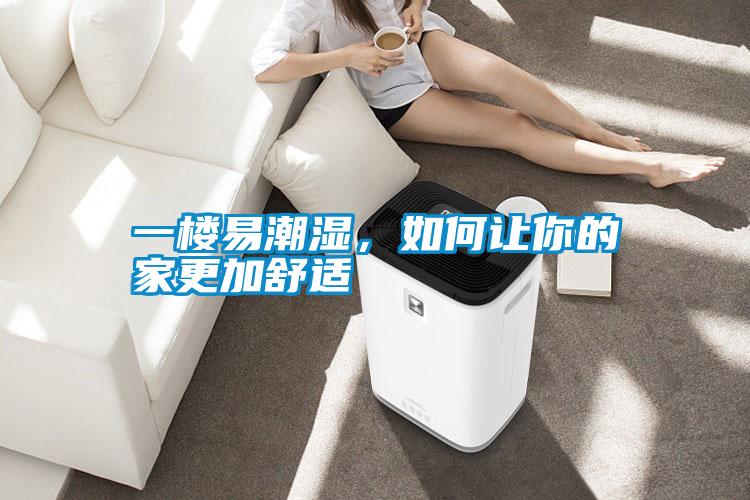 一樓易潮濕，如何讓你的家更加舒適