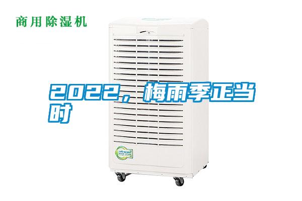2022,梅雨季正當(dāng)時(shí)