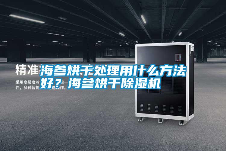 海參烘干處理用什么方法好？海參烘干除濕機(jī)