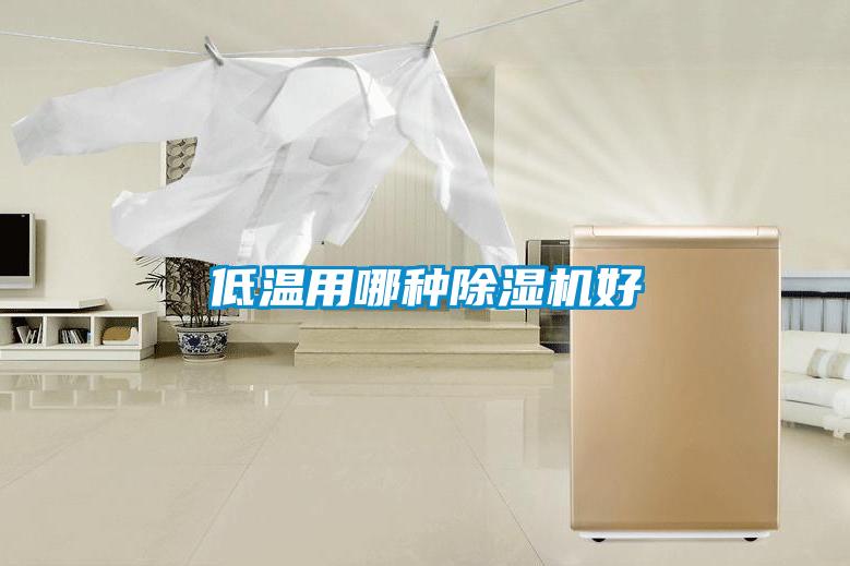 低溫用哪種除濕機好