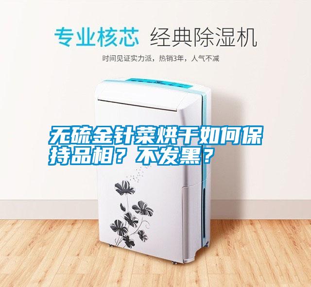 無(wú)硫金針菜烘干如何保持品相？不發(fā)黑？