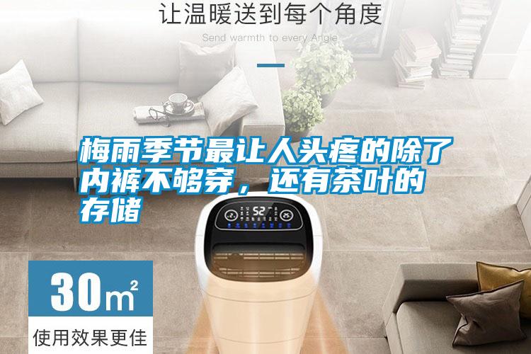 梅雨季節最讓人頭疼的除了內褲不夠穿,還有茶葉的存儲