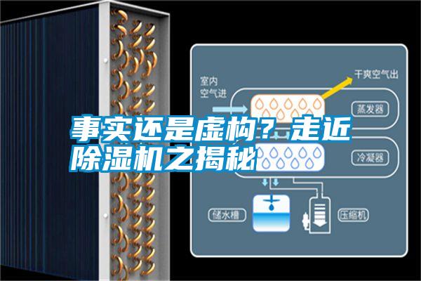 事實(shí)還是虛構(gòu)？走近除濕機(jī)之揭秘