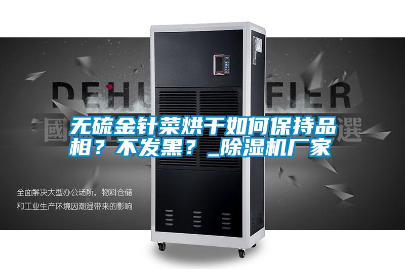 無硫金針菜烘干如何保持品相？不發(fā)黑？_除濕機廠家