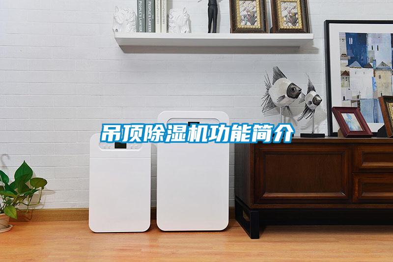 吊頂除濕機(jī)功能簡(jiǎn)介