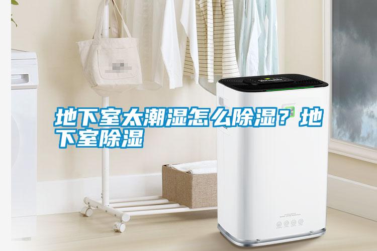 地下室太潮濕怎么除濕？地下室除濕