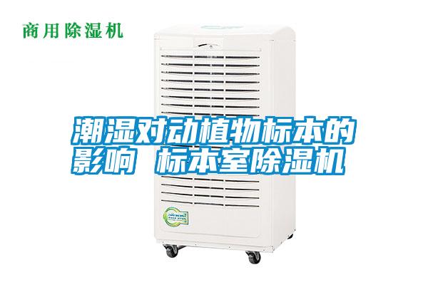 潮濕對動植物標本的影響 標本室除濕機
