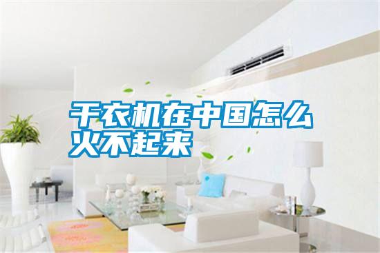 干衣機在中國怎么火不起來
