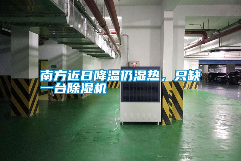 南方近日降溫仍濕熱，只缺一臺除濕機