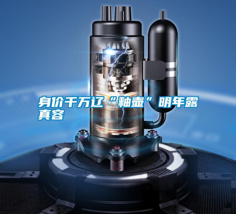 身價(jià)千萬(wàn)遼“釉壺”明年露真容